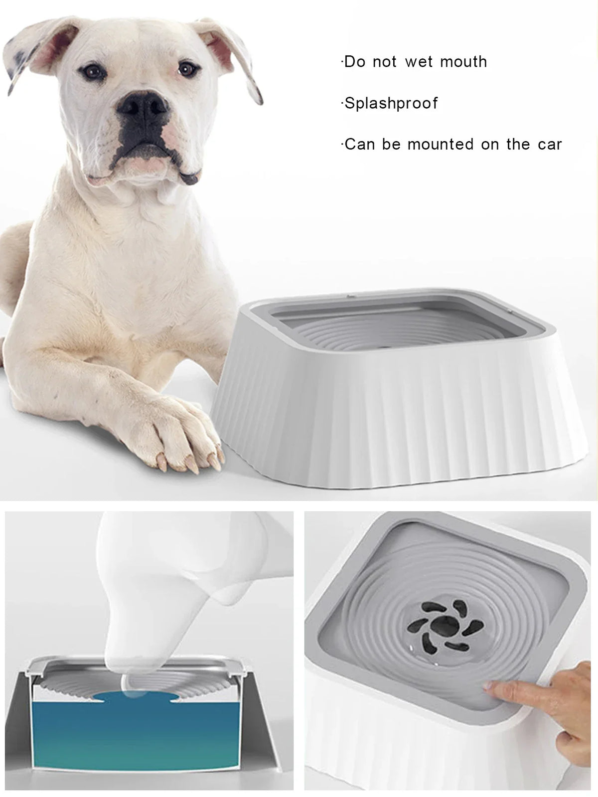 Dog drinking from the No-Spill Floating Dog Water Bowl, which keeps its mouth dry