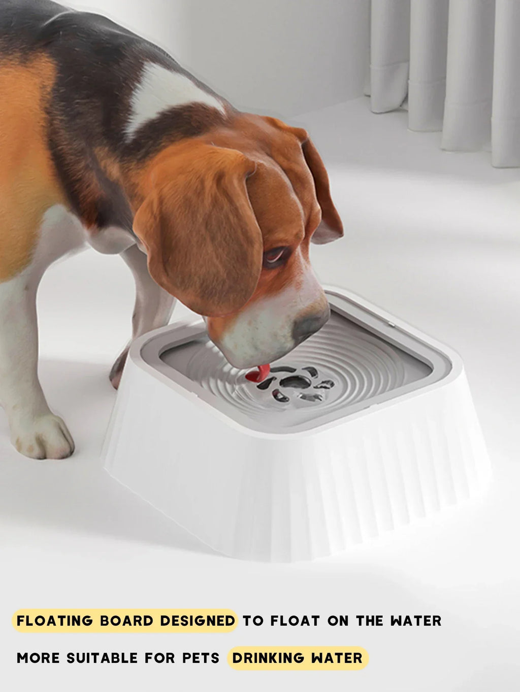 Beagle drinking from the No-Spill Floating Dog Water Bowl
